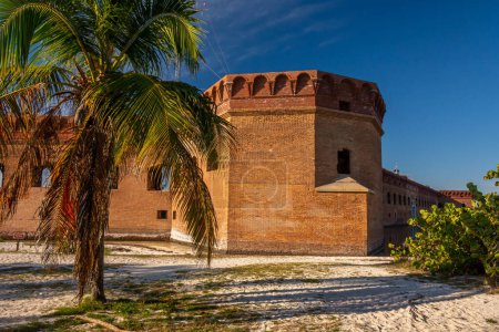 Photo for A palm tree in front of the ruins of Fort Jefferson in the Dry Tortugas off the coast of the Florida Keys. - Royalty Free Image