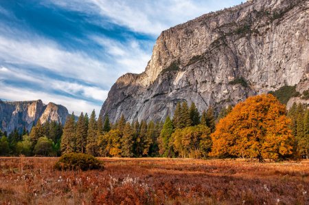 Photo for An autumn morning in Yosemite Valley at Yosemite National Park in California. - Royalty Free Image