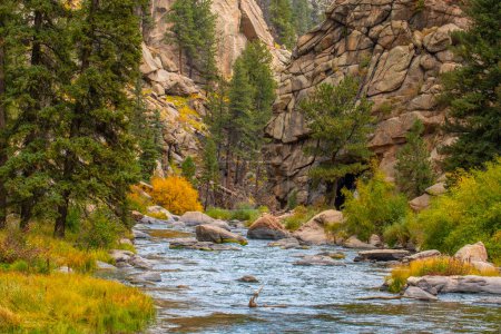 Foto de A rushing mountain stream cascading down the mountain sides in 11 Mile Canyon in Colorado. - Imagen libre de derechos
