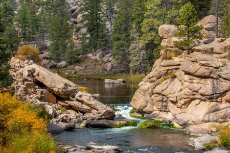 Téléchargez les photos : Un ruisseau de montagne en cascade descendant les flancs de la montagne dans 11 Mile Canyon dans le Colorado. - en image libre de droit
