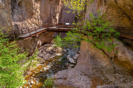 Foto de Esta pasarela fue un destino turístico popular en este parque de cañones del oeste de Nuevo México. - Imagen libre de derechos