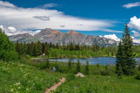 Téléchargez les photos : Un magnifique sentier de randonnée à travers les montagnes du Colorado près de Lost Lake Slough. - en image libre de droit