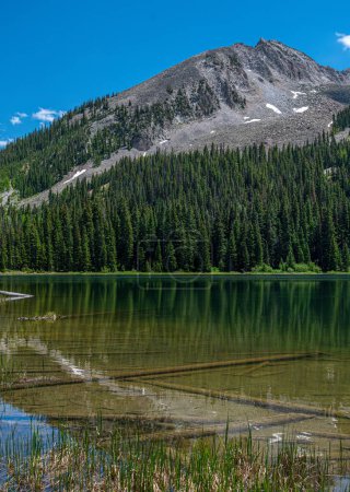 Photo for Sunken logs in the crystal clear waters of Lost Lake beneath East Beckwith Mountain in central Colorado near Crested Butte. - Royalty Free Image
