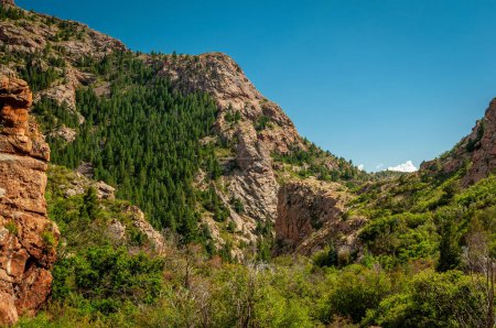 Téléchargez les photos : Le beau pays de canyon formé par Four Mile Creek comme il descend de plus haute altitude près de Cripple Creek, Colorado. - en image libre de droit