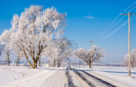 Photo for Photograph of the frosty trees found early one morning on a snowy Wisconsin country road. - Royalty Free Image