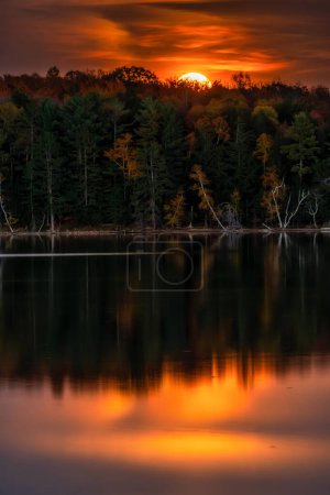 Foto de La luna se eleva sobre los árboles de color otoñal en la orilla de un lago de bosques del norte durante la temporada de cosecha.. - Imagen libre de derechos