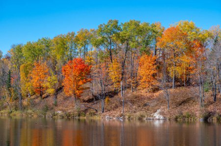Téléchargez les photos : Un magnifique bord de lac d'automne dans le nord du Wisconsin sous un ciel bleu vif. - en image libre de droit