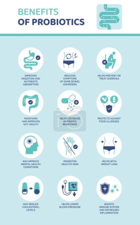 Ilustración de Beneficios de la infografía médica de probióticos con iconos establecidos: salud y bienestar del sistema digestivo - Imagen libre de derechos