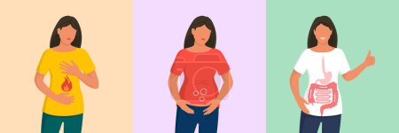 Ilustración de Mujer con gastritis, abdomen hinchado y sistema digestivo sano - Imagen libre de derechos