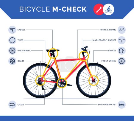 Illustration for Bicycle m-check infographic with bike parts icons, how to do a pre-ride check and ride safely - Royalty Free Image