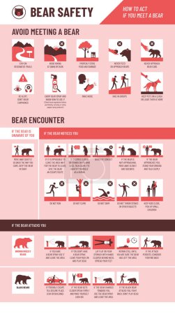 Illustration for Bear safety infographic with icons set: how to avoid meeting a bear and how to act if you meet a bear - Royalty Free Image