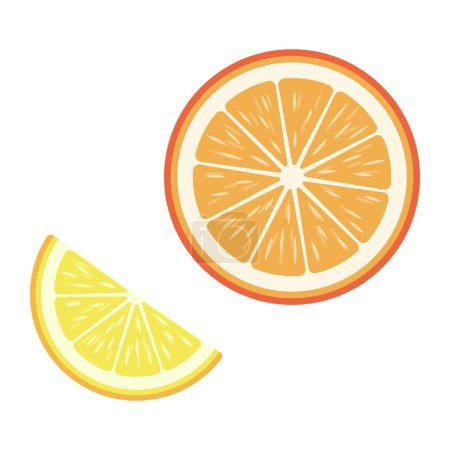 Illustration for Fresh citrus isolated, nutrition and food concept - Royalty Free Image