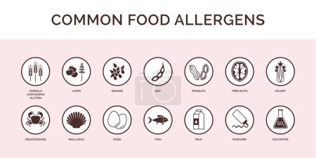 Conjunto de iconos de alérgenos e ingredientes alimentarios, etiqueta alimentaria y concepto de envase