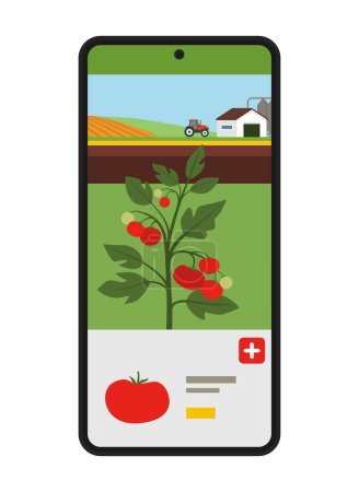 Ilustración de Comprar verduras directamente de los agricultores locales, aplicación en línea en la pantalla del teléfono inteligente - Imagen libre de derechos