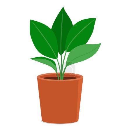 Illustration for Beautiful lush houseplant in a clay pot, isolated - Royalty Free Image