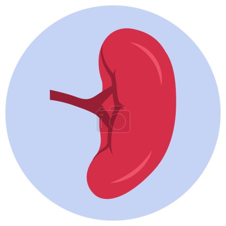 Illustration for Enlarged spleen splenomegaly, isolated medical icon - Royalty Free Image
