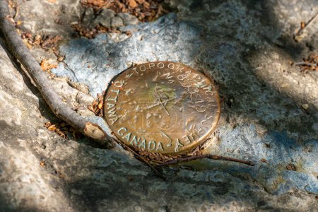 Téléchargez les photos : Relevé topographique Ottawa Canada insignes sur les marques de métal dans l'aire de conservation de la pointe Rattlesnake. C'est marqueur ou monument d'arpentage des terres publiques pour établir et référencer les terres publiques. Plaque en laiton. - en image libre de droit