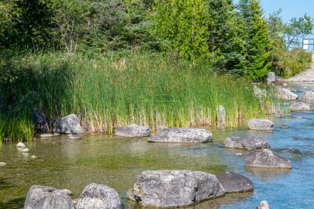 Felsige Gewässer des Manitou River, Park in der Nähe des Sandfield Dam, Lake Manitou, Manitoulin Island, Northern Ontario, Kanada. Sommerliches Ambiente und bezaubernde Aussicht. Tourismusreisen, Abenteuer und Entdeckungen.