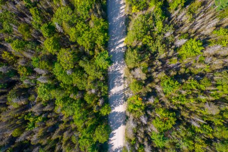 Route de Misery Bay vue aérienne d'en haut. Nature et espace vert sur l'île Manitoulin. Voyage et aventure style de vie de tranquillité et d'aventure en plein air. Nature sauvage et refuge écologique au Canada.