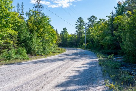 Gravel off road to Blue Jay Creek with Michael's Bay, Lake Huron, Manitoulin Island, unveils a nature-lover's paradise. Tranquil journey harmonious retreat and adventure in green forest.