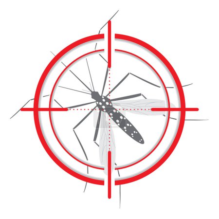 Téléchargez les illustrations : Moustique Aedes Aegypti avec cible échasses. Signal visuel. Symbole cible. Idéal pour l'éducation, l'information ou les conseils de santé connexes. Vecteur modifiable - en licence libre de droit