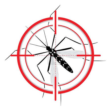 Téléchargez les illustrations : Moustique Aedes Aegypti avec cible échasses. Signal visuel. Symbole cible. Idéal pour l'éducation, l'information ou les conseils de santé connexes. Vecteur modifiable - en licence libre de droit