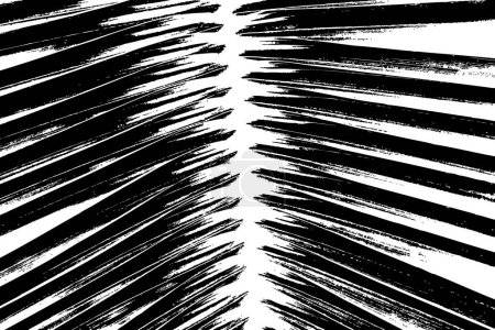 Vector trace of Coconut palm leaf pattern ferns. Texture of tropical species plant. Black and white tropical flora. Exotic plant trace texture.