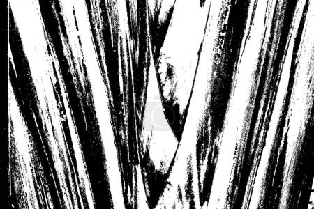 Vector trace of Banana palm tree stem pattern ferns. Texture of tropical species plant. Black and white tropical flora. Exotic plant trace texture.