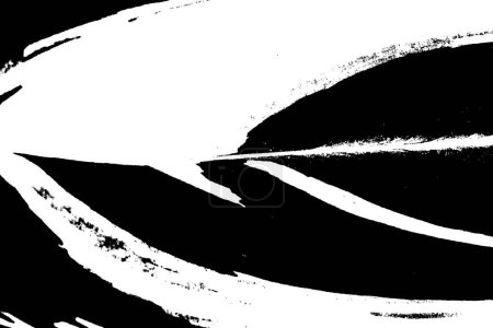 Ilustración de Rastros vectoriales de helechos de hoja de jengibre de concha variada. Textura de planta de especies tropicales. Flora tropical blanca y negra. Trazo de planta exótica textura. - Imagen libre de derechos