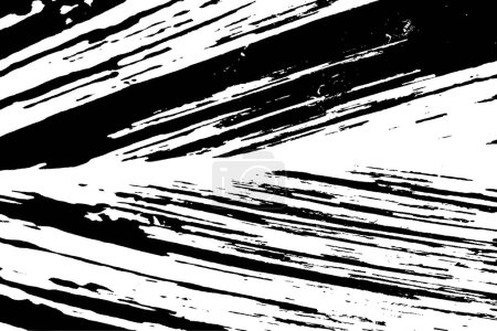 Ilustración de Rastros vectoriales de helechos de hoja de jengibre de concha variada. Textura de planta de especies tropicales. Flora tropical blanca y negra. Trazo de planta exótica textura. - Imagen libre de derechos