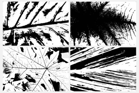 Ilustración de Colección de diversos rastros vectoriales que representan la vegetación de la selva tropical, incluyendo helechos y patrones de hojas. Texturas de varias especies de plantas tropicales, en blanco y negro. Rastros de plantas tropicales. - Imagen libre de derechos