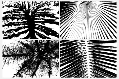 Collection of diverse vector traces depicting rainforest vegetation, including ferns and leaf patterns. Textures of various tropical plant species, in black and white. Traces of tropical plants.