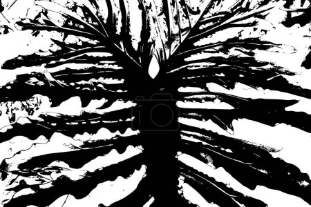 Vector trace of Split Leaf Philodendron ferns. Texture of tropical species plant. Black and white tropical flora. Exotic plant trace texture.
