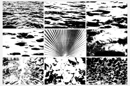 Set aus verschiedenen Grunge-Schwarz-Weiß-Texturen Vektorhintergründe. Abstrakte Überlagerungen belasten körnige Oberflächen. Tintenfleck, Chaotischer Staub, Meereswellen, Meer Meer welliges Wasser, Tropische Biophilie, Fächerpalmenfarn.