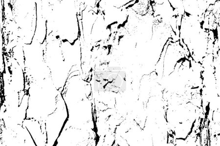 Textura de madera negra blanca, textura de recubrimiento vectorial. Textura de madera vieja superficie plana. Corteza de árbol real fondo superficial de madera. Tablón de vista superior. 