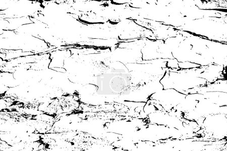 Illustration for White black wood texture, vector overlay texture. Old wood texture flat surface. Real tree bark wooden surface background. Top view plank. - Royalty Free Image