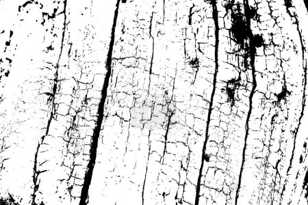 Weiße Textur aus schwarzem Holz, Textur aus Vektorüberlagerungen. Altes Holz strukturiert die Oberfläche flach. Echtes Baumrinde hölzerne Oberfläche Hintergrund. Planke von oben. 