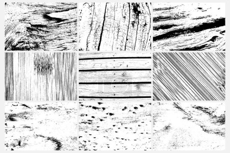 Illustration for Abstract tree bark wood surface texture background set. Nature wooden texture collection. Black and white. Vector background design. Forest finds collection, natural tree flat set. - Royalty Free Image