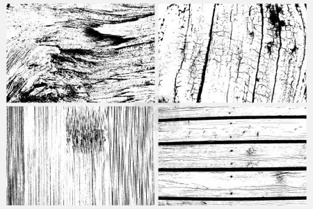 Illustration for Abstract tree wood surface texture background set. Nature wooden texture collection. Black and white. Vector background design. Forest finds collection, natural tree flat set. - Royalty Free Image
