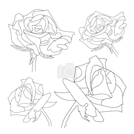 Téléchargez les photos : Vecteur rose réglé par dessin à la main. Belle fleur sur fond blanc. Couleur noire ligne art rose. - en image libre de droit