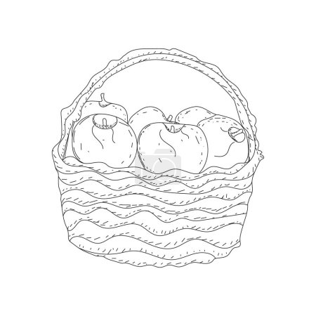 Ilustración de Hermosa ilustración de la cesta llena de frutas en modo de arte en línea, arte cesta de manzana - Imagen libre de derechos