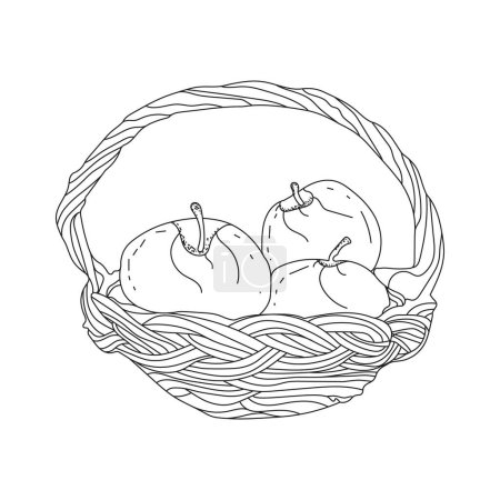 Téléchargez les photos : Illustration du panier plein de fruits en mode line art, apple line art - en image libre de droit