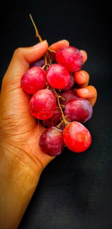 Téléchargez les photos : Un brin de raisin rouge vif tenu à la main, photographié sous un angle élevé - en image libre de droit