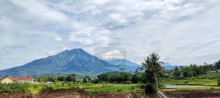 Téléchargez les photos : The view of Mount Andong and the expanse of rice fields in Grabag as seen from the direction of the "Metro Gardens" spot, which is the name of one of the tourist destinations - en image libre de droit