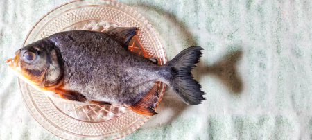 Téléchargez les photos : Bramidae morts ou poisson pomfrette dans une petite assiette. Vue du dessus - en image libre de droit