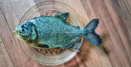 Téléchargez les photos : Vue du dessus des poissons morts bramidae ou pomfret dans une petite assiette isolée sur fond de bois brun. - en image libre de droit
