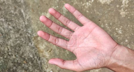 Retrato de línea de Simian en mano humana