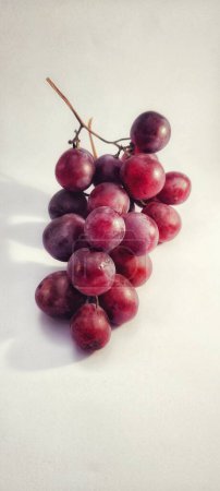 Photo for Portrait a sprig of grapes or vitis vinifera is photographed with a shadow concept on the photo object - Royalty Free Image