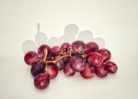 Photo for A sprig of grapes or vitis vinifera is photographed with a shadow concept on the photo object - Royalty Free Image