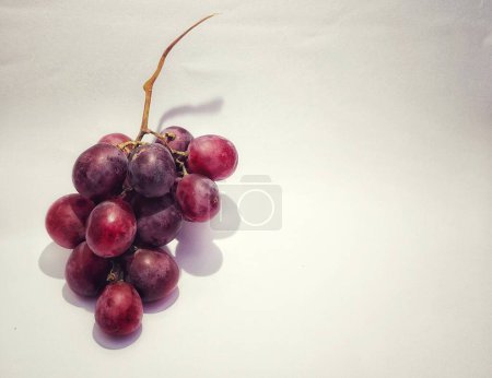Photo for Negative space a sprig of grapes or vitis vinifera is photographed with a shadow concept on the photo object isolated on a white background - Royalty Free Image